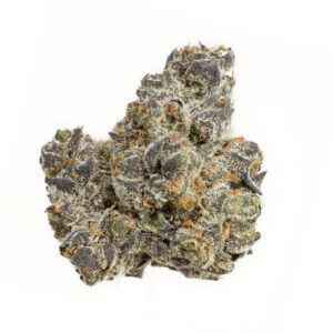 Apple Fritter