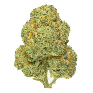 Chemango Kush