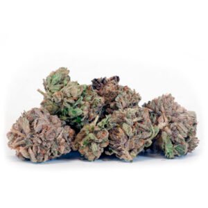 Girl Scout Cookies